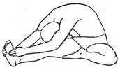 Асаны йоги (4-6)