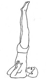 Асаны йоги (64-66)